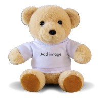 Bear Toy Animal Plush Toy Hoodie Doll
